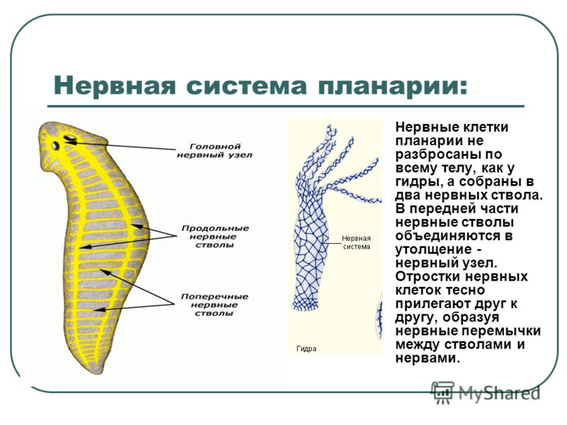 Кракен маркетплейс реклама текст