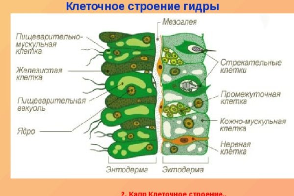 Официальный сайт кракен kraken