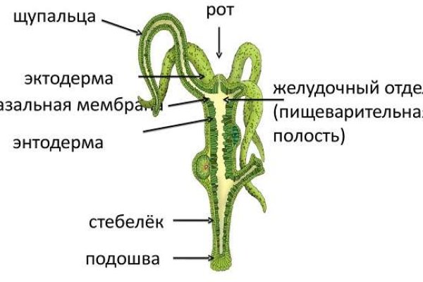 Наркотики заказать