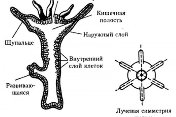 Кракен магазин ссылка