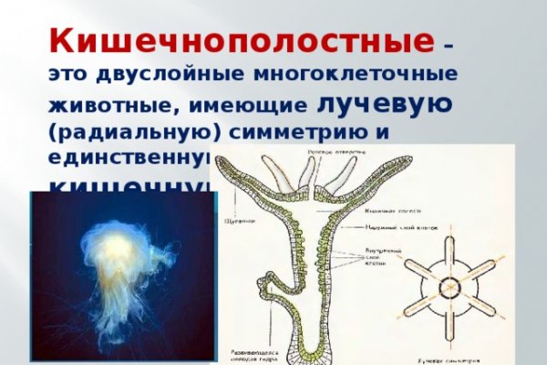 Магазин кракен даркнететамбов